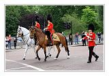 Trooping the Colour 003